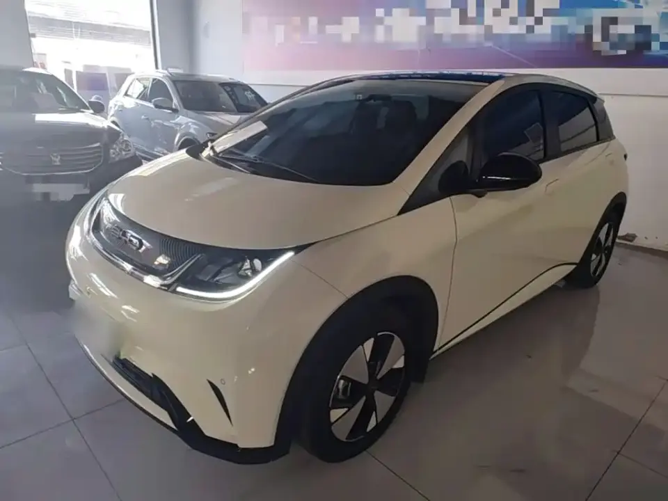 BYD Dolphin 420km Freedom Edition 2023
