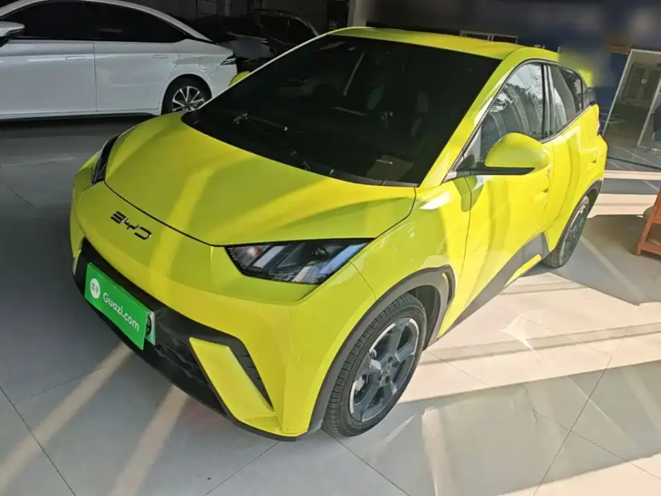 BYD Seagull Freedom Edition 2023