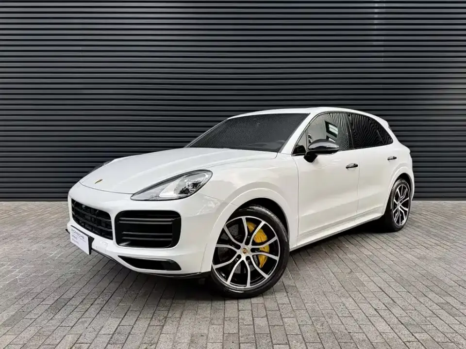 Porsche Cayenne Cayenne 3.0T Platinum Edition 2023