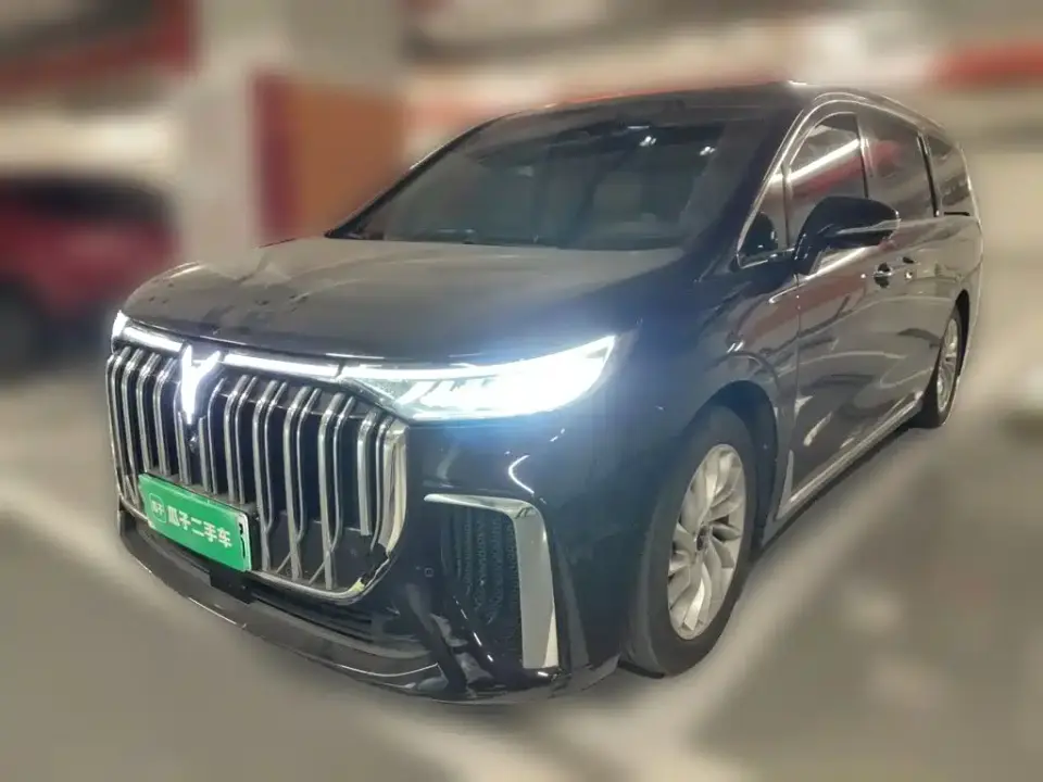 Voyah Auto Voyah Dreamer PHEV Extended Range Premium Edition 2024