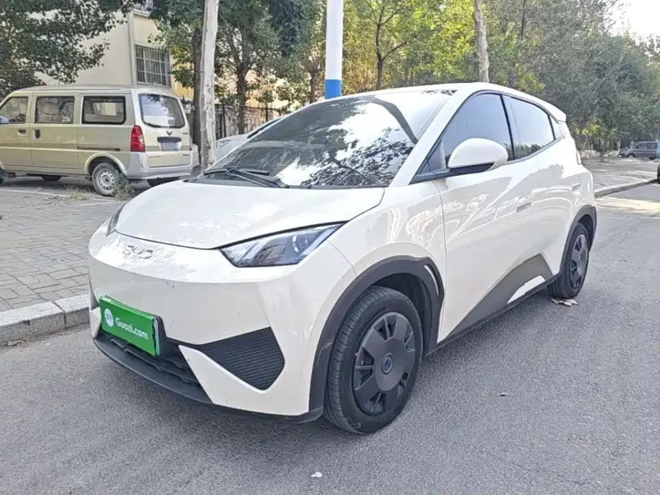 BYD Seagull Smart Drive Edition 305km Vitality Version 2026