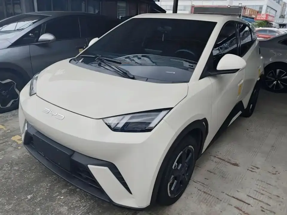 BYD Seagull Freedom Edition 2024