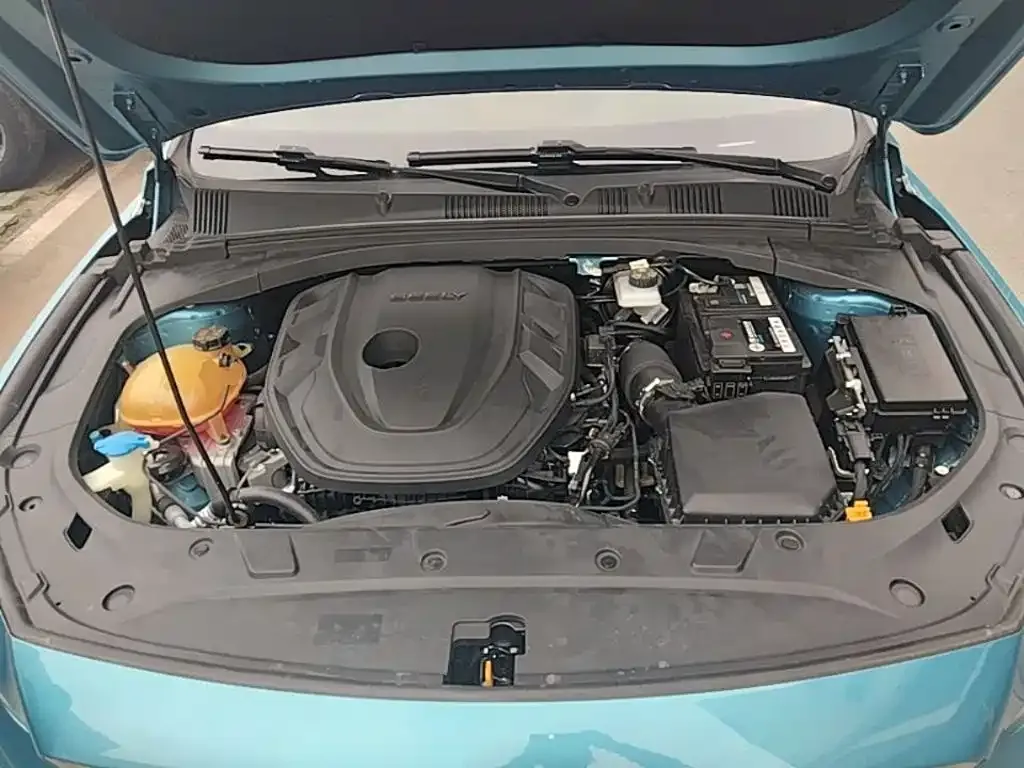 Geely Xing Rui 2.0TD Premium 2021 — фото 20