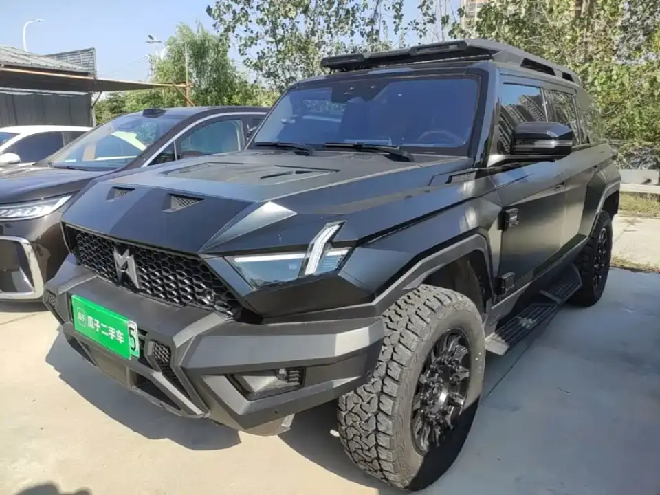 Mengshi 917 Extended Range Base Version 2025