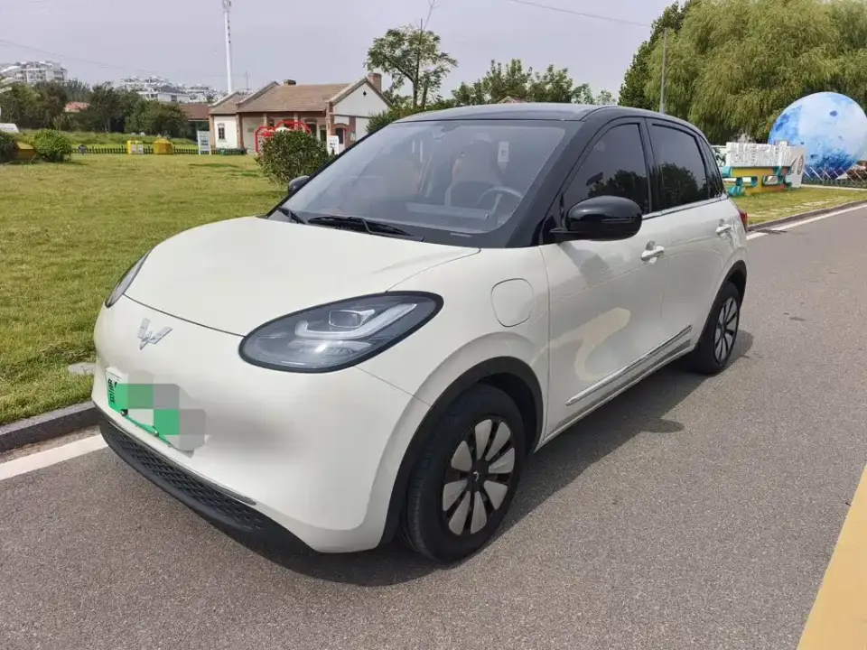Wuling Motors Wuling Bingo 333km Comfort Edition 2024