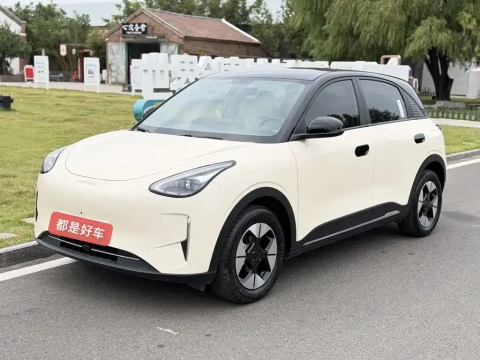 Geely Galaxy Starry Wish 310km Dream Edition 2025