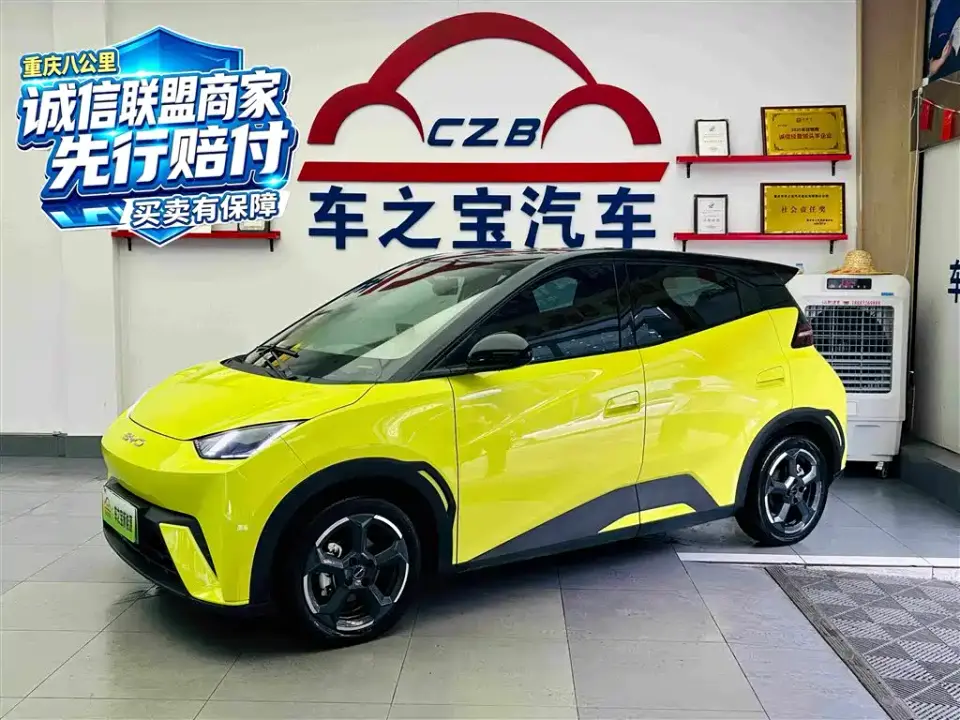 BYD Seagull Freedom Edition 2024