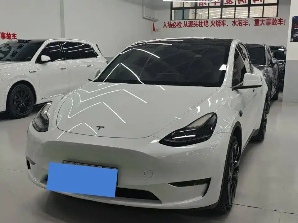Tesla Model Y Rear-Wheel Drive Version 2024