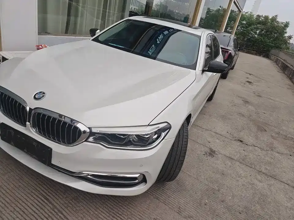 BMW 5 Series New Energy 530Le Luxury Package 2019