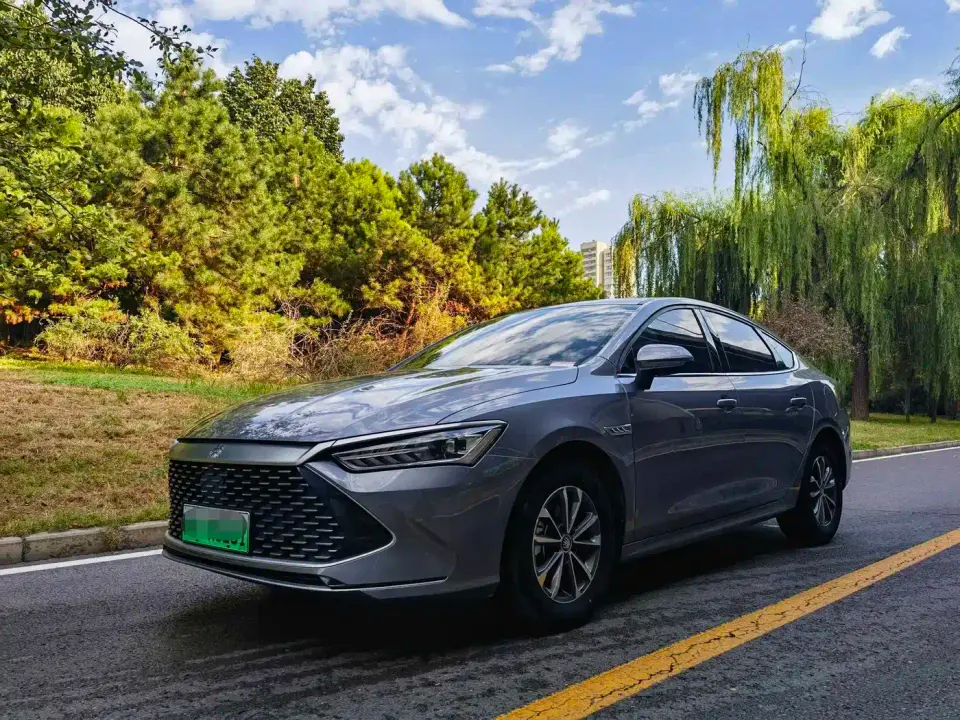BYD Qin PLUS DM-i Smart Drive 55KM Leader 2024