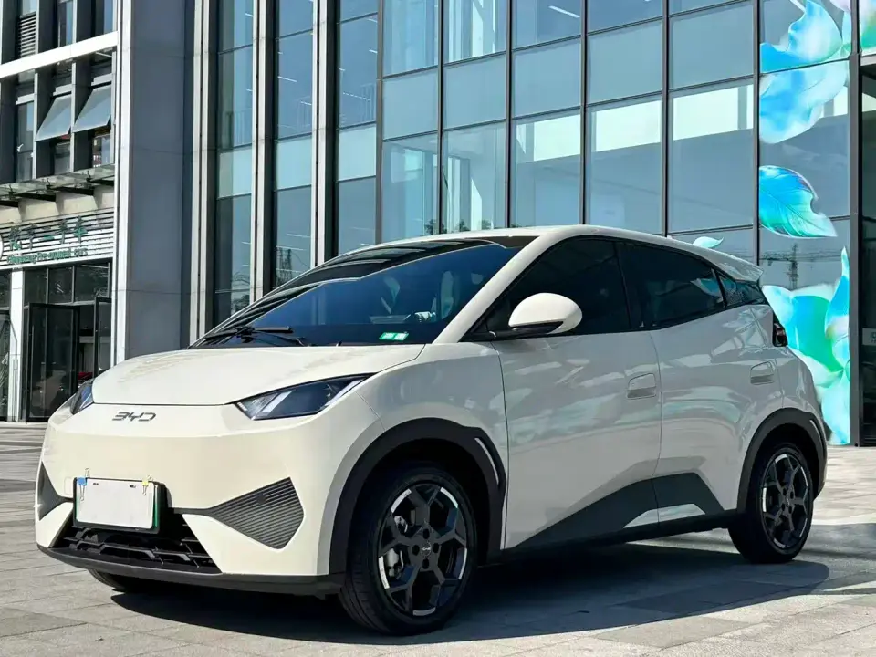 BYD Seagull Smart Drive Edition 305km Freedom Version 2025