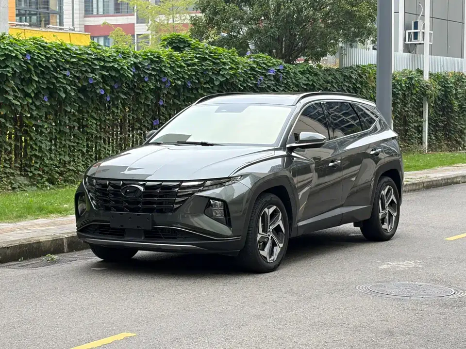 Hyundai Tucson Tucson L 1.5T Automatic 2WD LUX Premium Edition 2023