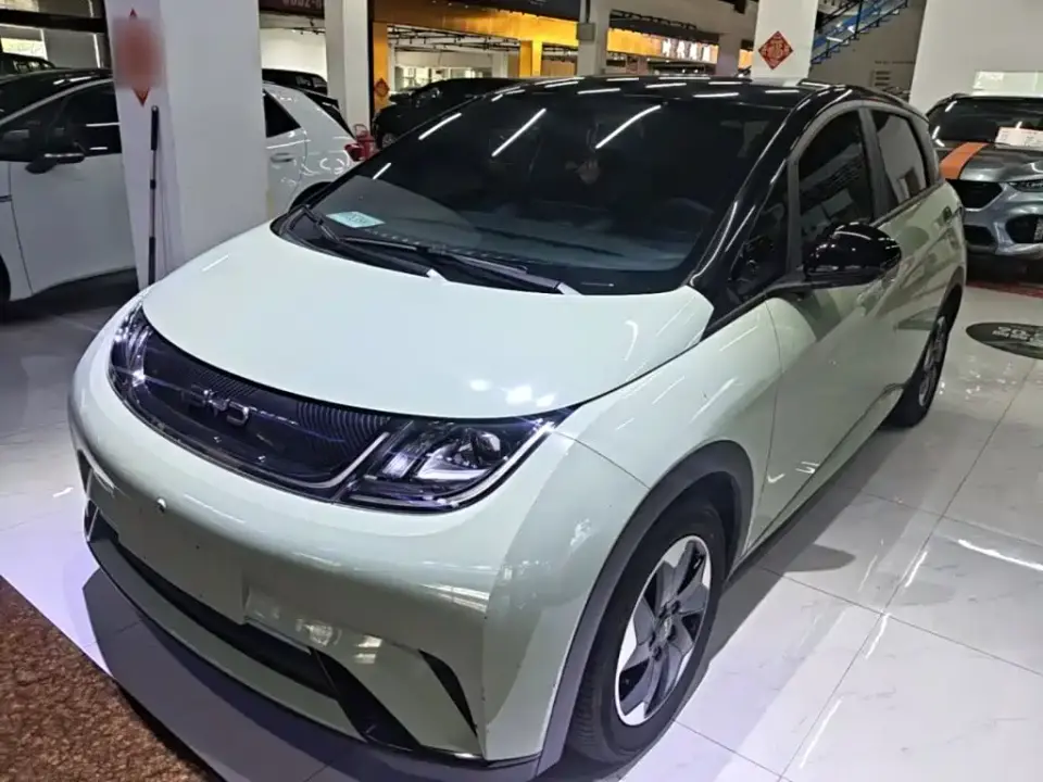 BYD Dolphin Glory Edition 420km Freedom Edition 2024
