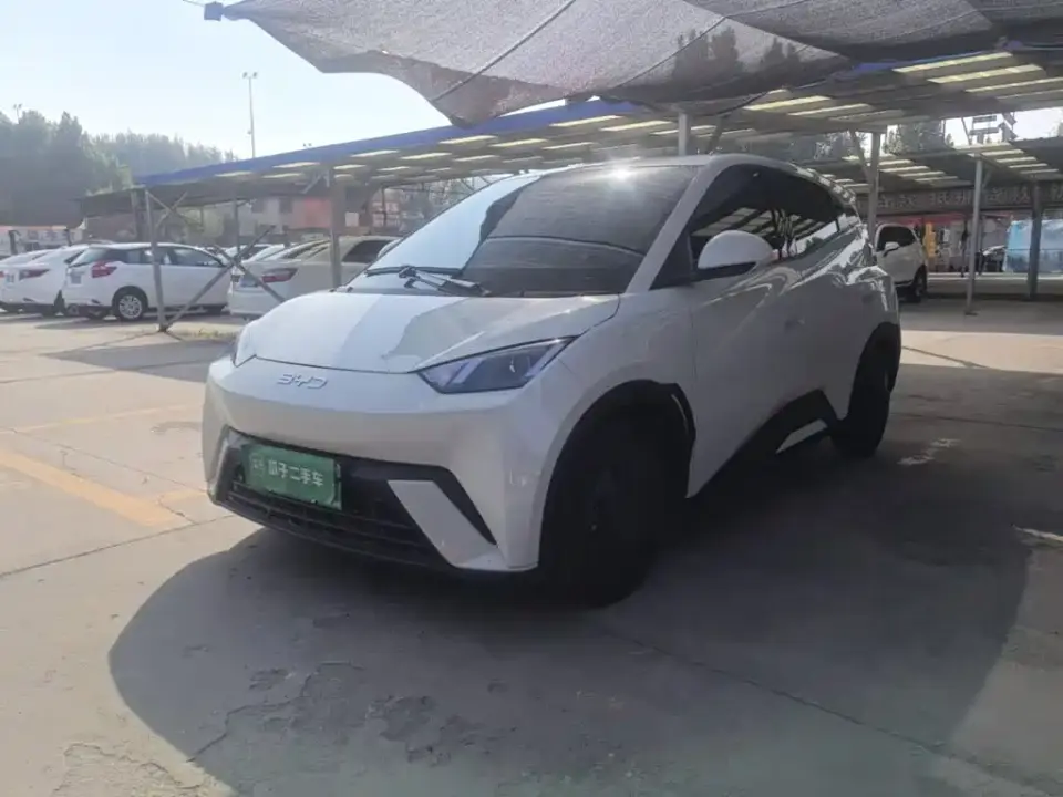 BYD Seagull 305km Vitality 2025