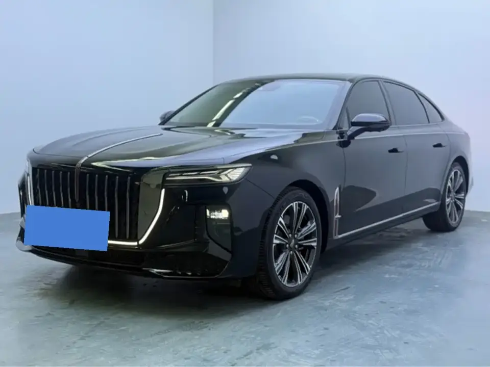 Hongqi H9 2.0T Qi Enjoy Private Fashion Edition 2024