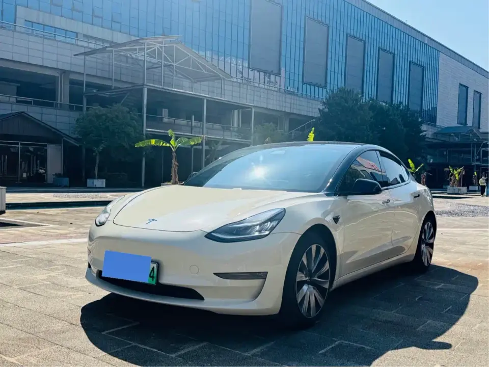 Tesla Model 3 (Import) Long Range RWD Version 2019