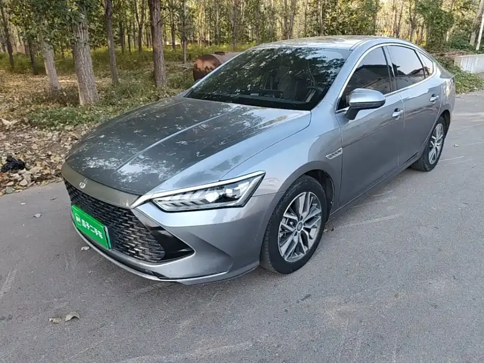 BYD Qin PLUS DM-i 55KM Flagship 2022