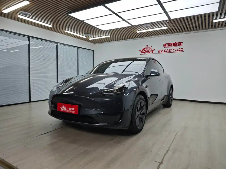 Tesla Model Y Rear-Wheel Drive Version 2024