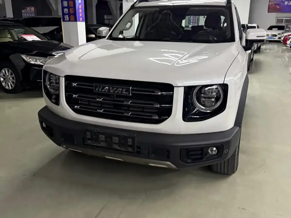 Haval Big Dog 1.5T DCT 2WD Border Collie Edition 2021