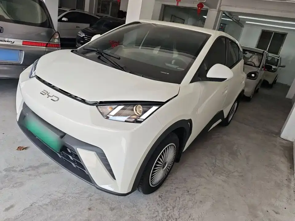BYD Seagull 305km Vitality 2025
