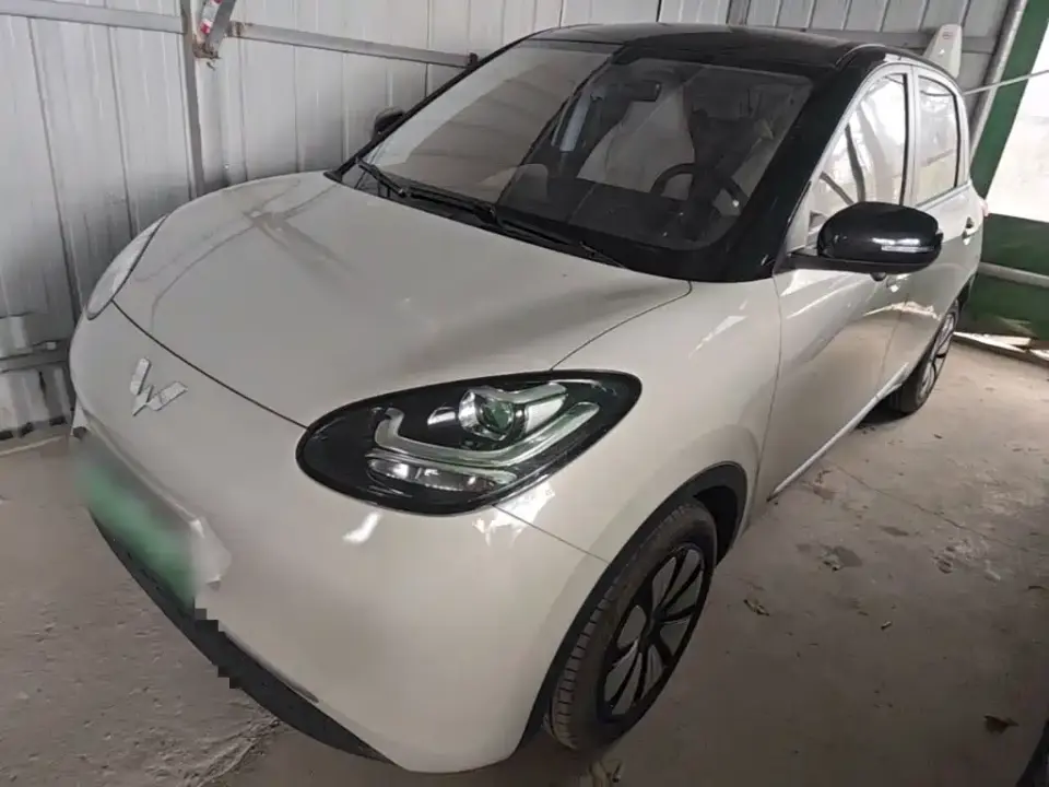 Wuling Motors Wuling Bingo Model 203km Lite Enjoyment Edition 2023