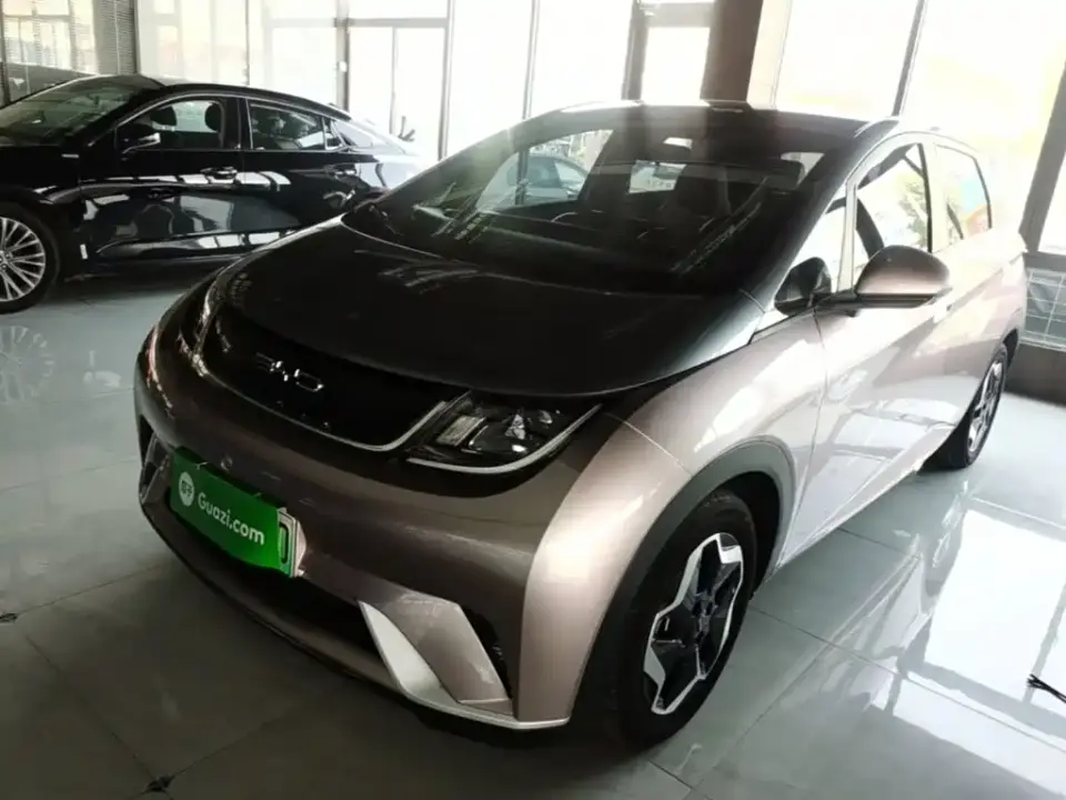 BYD Dolphin Model 405km Fashion Edition 2022