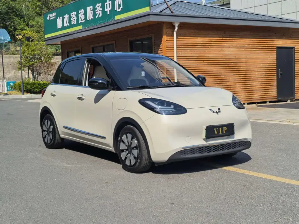 Wuling Motors Wuling Bingo 333km Smart Connectivity Edition 2024