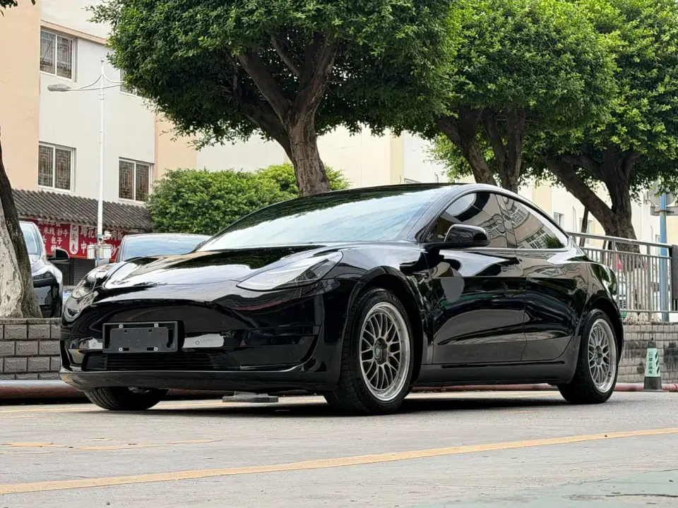 Tesla Model 3 Facelift Standard Range RWD Upgrade 3D1 2021