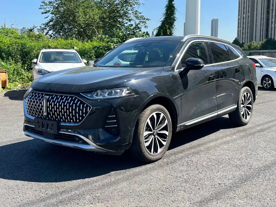 Wey Mocha 2.0T 2WD Extra Rich Edition 2022