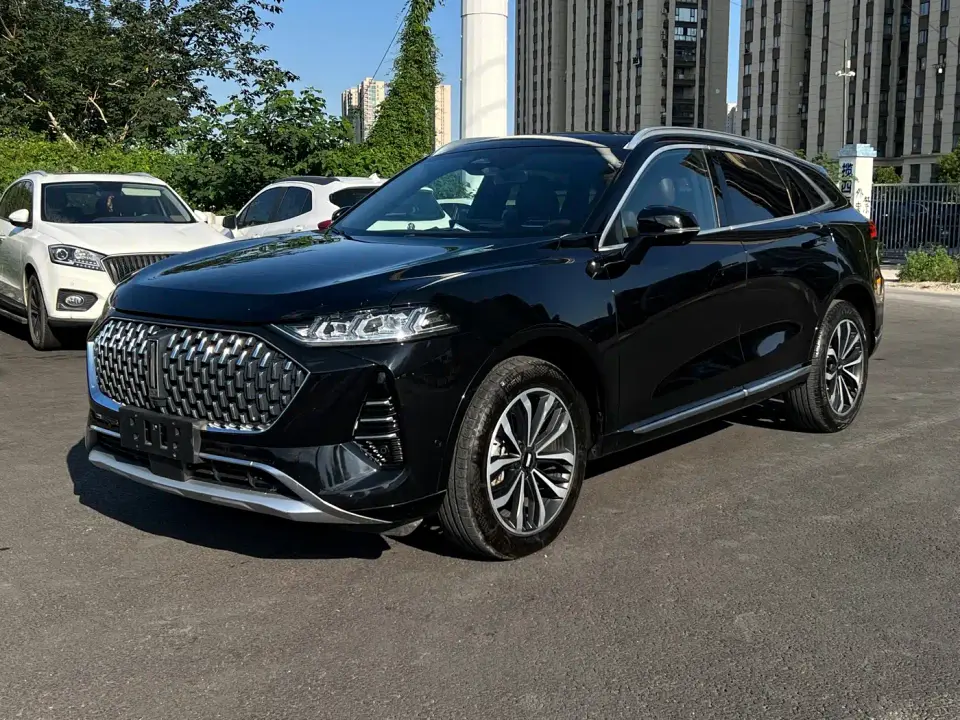 Wey Mocha 2.0T 2WD Extra Rich Edition 2022