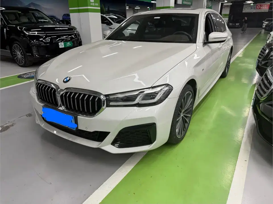 BMW 5 Series 530Li Leading M Sport Package 2020
