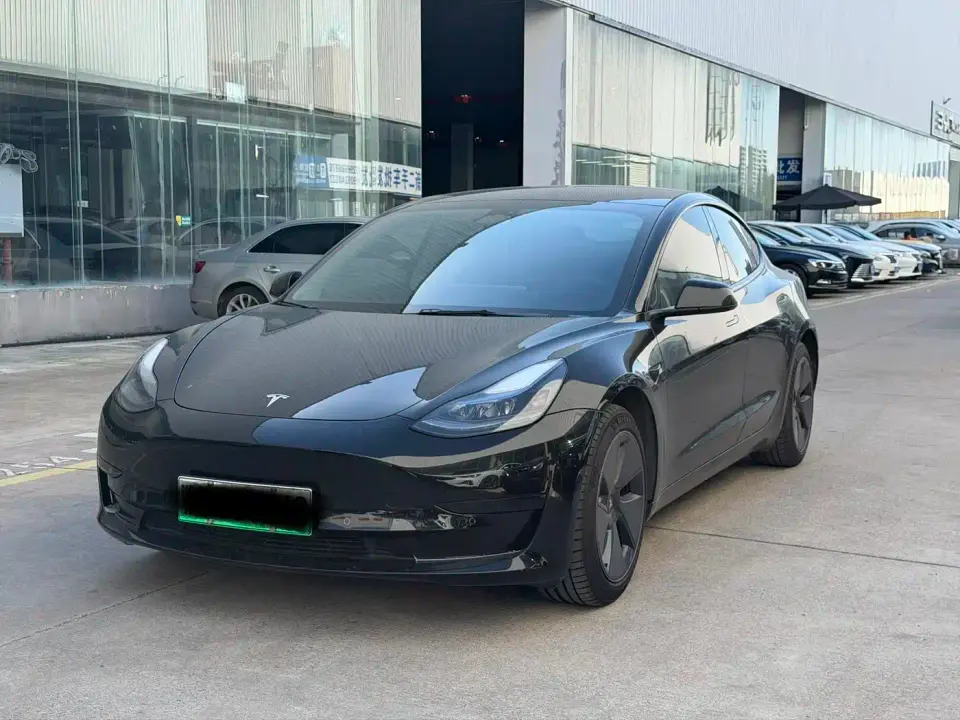 Tesla Model 3 Model Rear-Wheel Drive Version 2022
