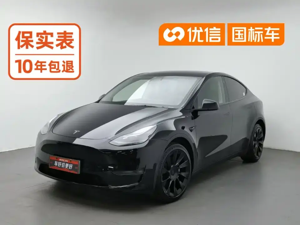 Tesla Model Y Standard Range Rear-Wheel Drive 2022