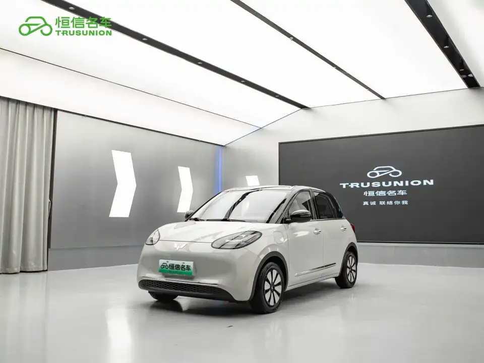 Wuling Motors Wuling Bingo 333km Comfort Edition 2024