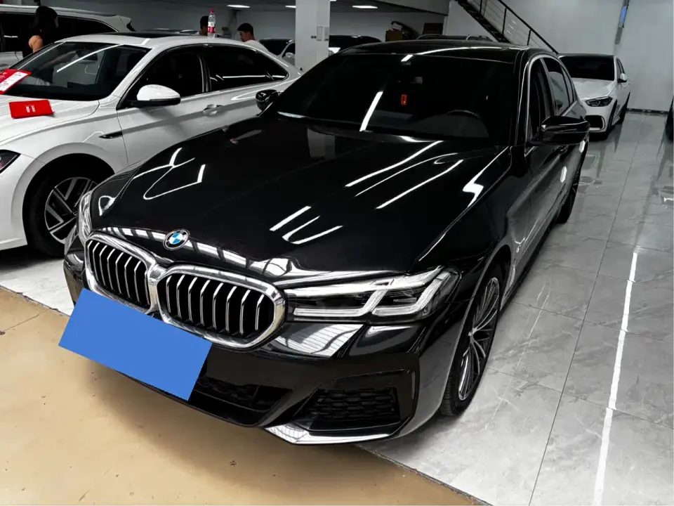 BMW 5 Series 530Li Leading M Sport Package 2021
