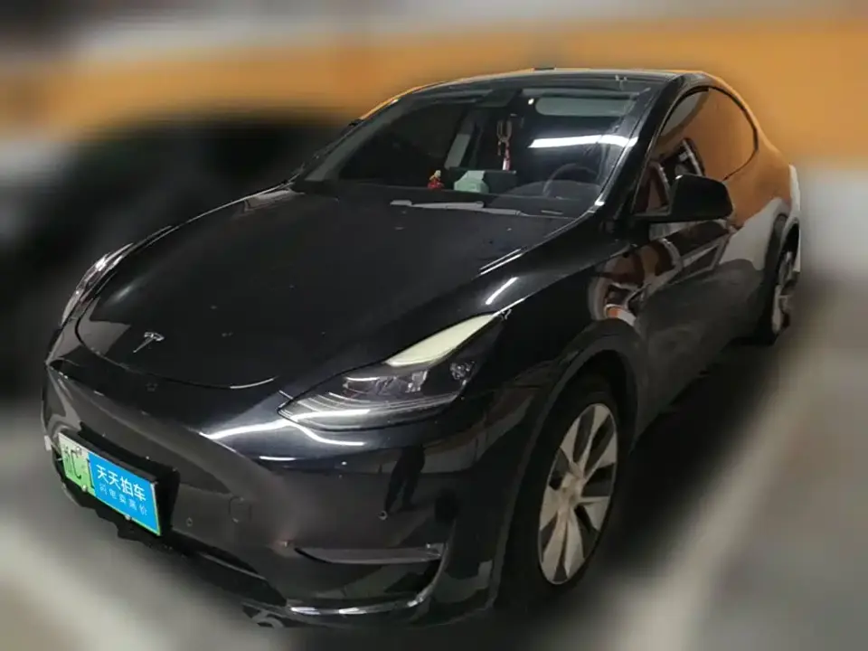 Tesla Model Y Model Long Range AWD 2021