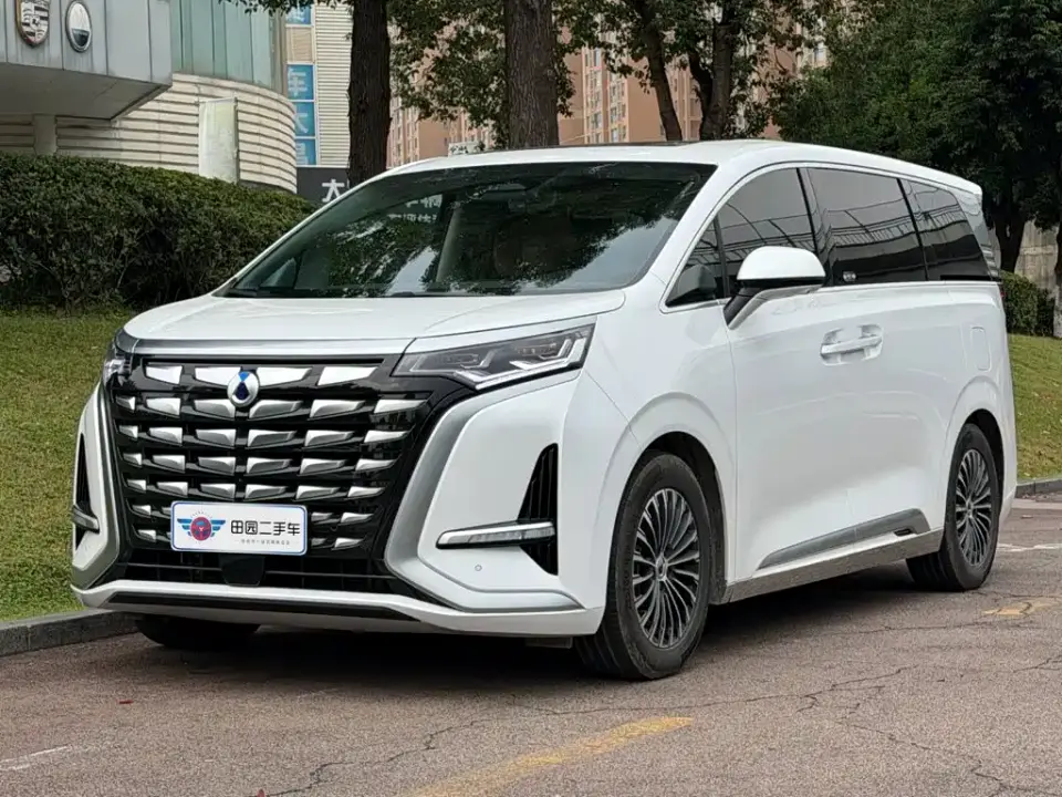 Denza D9 DM-i 1040 Premium 2023