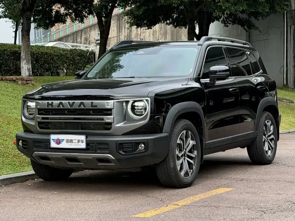 Haval Big Dog 1.5T DCT Border Collie Edition 2025