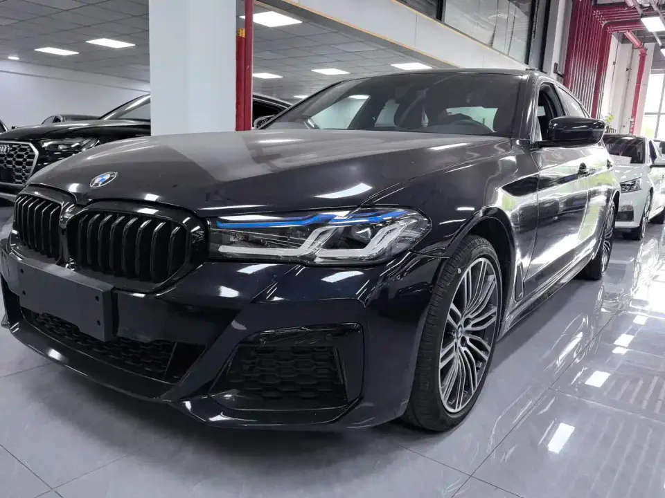 BMW 5 Series 530Li Leading M Sport Package 2019