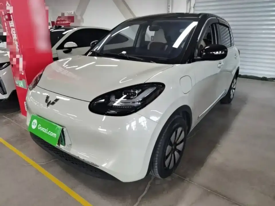 Wuling Motors Wuling Bingo 333km Comfort Edition 2024