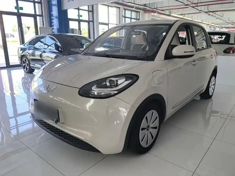 Wuling Motors Wuling Bingo 333km Quick Enjoy Version 2023