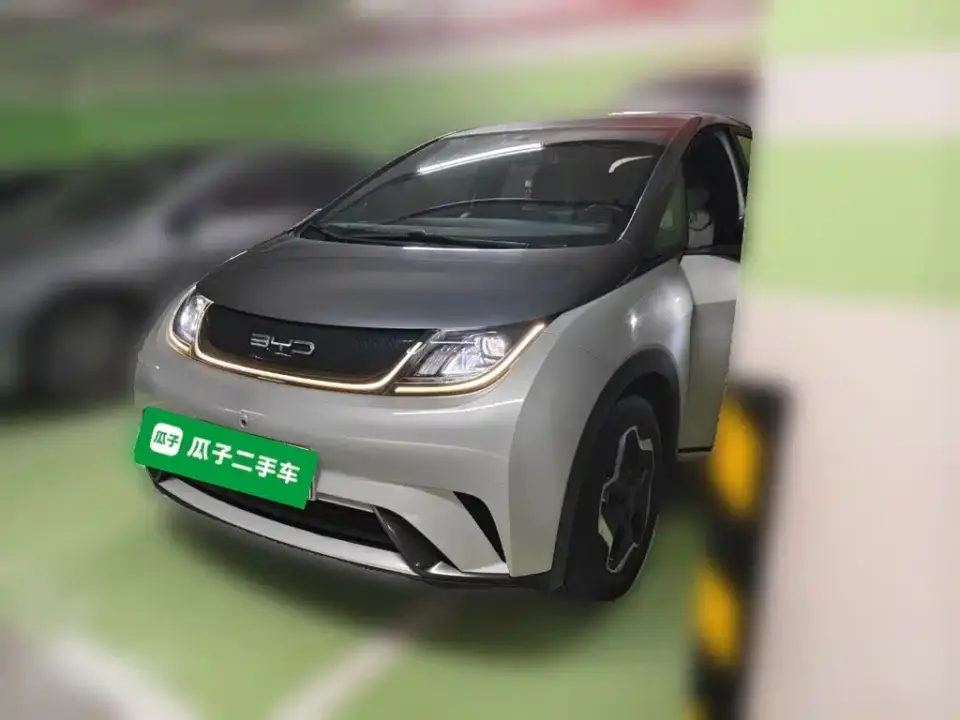 BYD Dolphin 405km Freedom Edition 2022