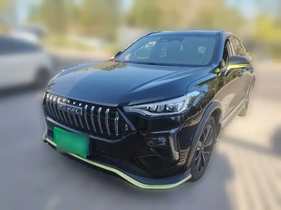 Haval Chitu Boost Edition 1.5T Platinum Rabbit 2022