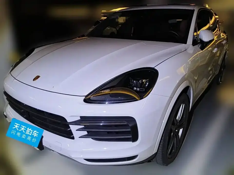 Porsche Cayenne Cayenne 3.0T Platinum Edition 2023
