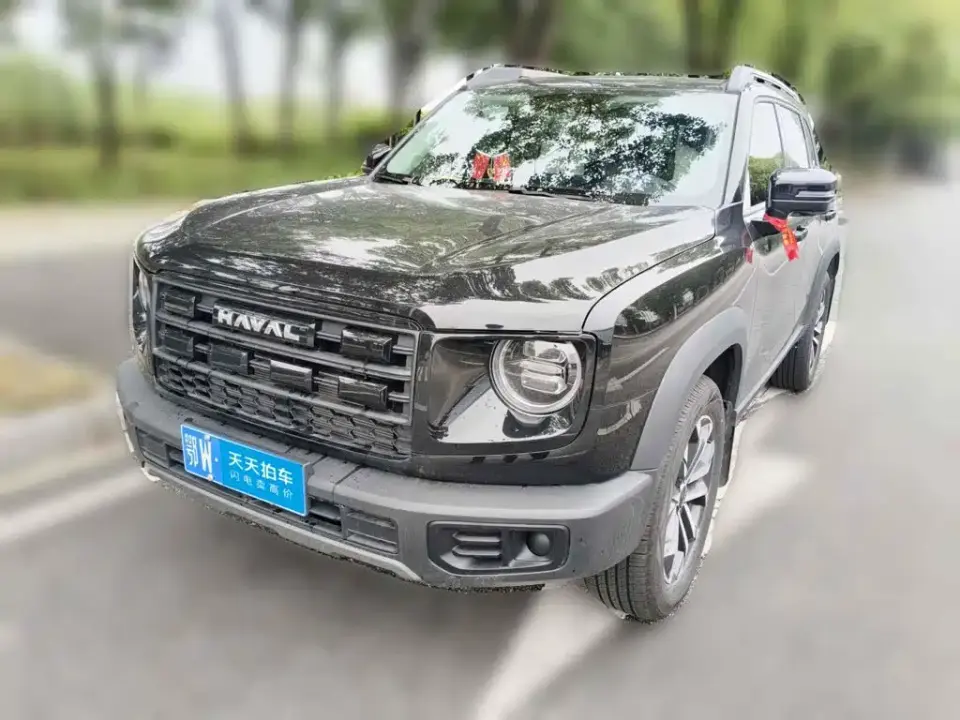 Haval Big Dog Model 1.5T Basic Configuration 2025
