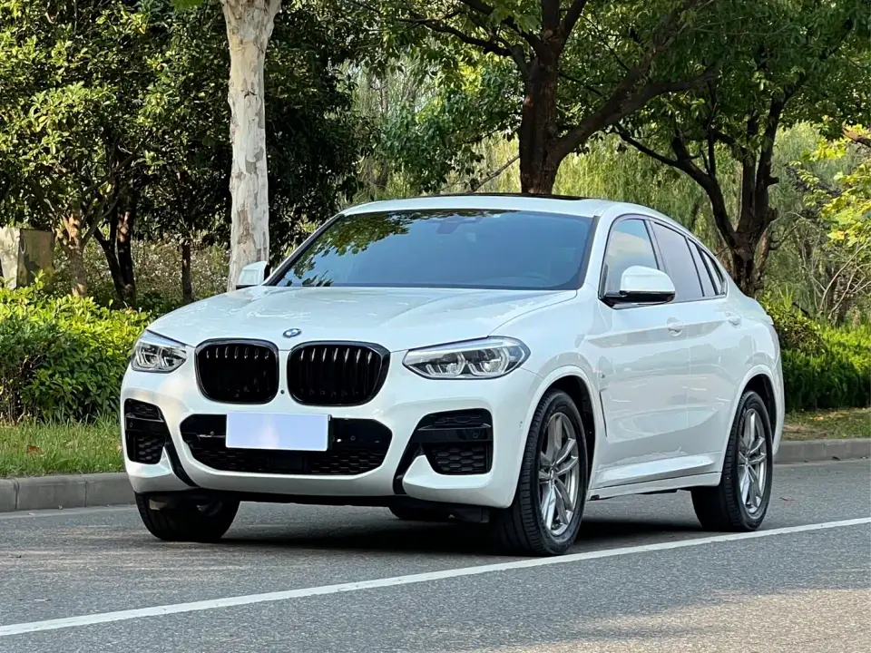 BMW X4 xDrive25i M Sport Package 2019