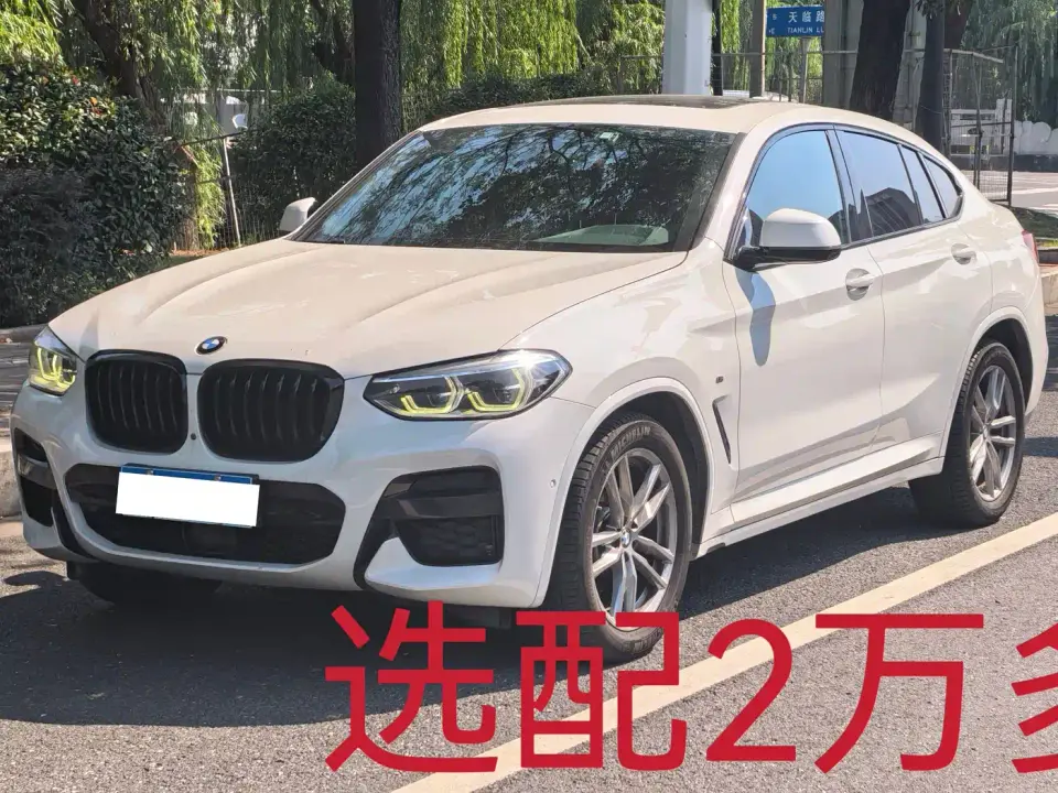 BMW X4 xDrive25i M Sport Package 2019