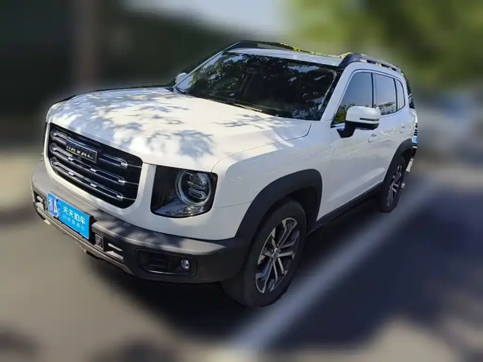 Haval Big Dog 1.5T DCT 2WD Border Collie - Wangcai Edition 2021