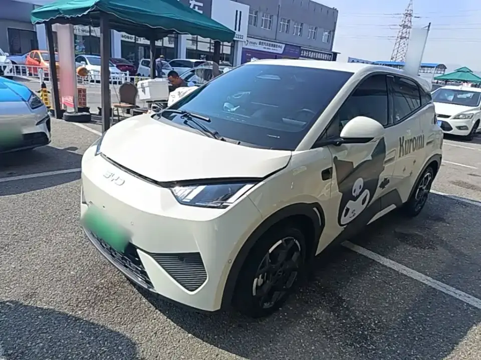 BYD Seagull Smart Drive Edition 305km Freedom Version 2026