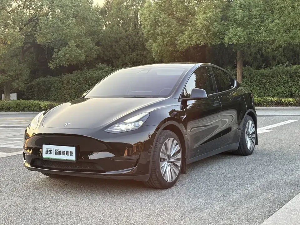 Tesla Model Y Rear-Wheel Drive Version 2022
